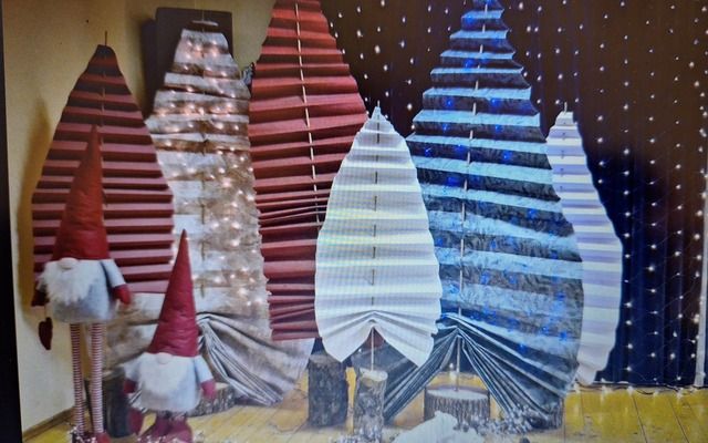 Mokykla konkurso "Sveika gyva, Kalėdų viešnia, 2025" laureatai!