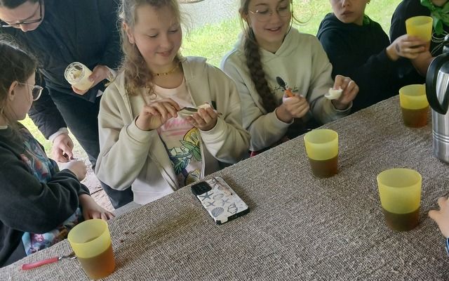3b ir 4d klasių mokiniai keliavo Panemunio keliu
