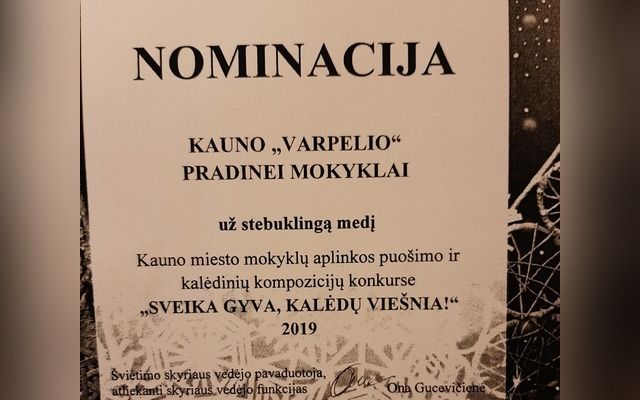 Sveika gyva, Kalėdų viešnia