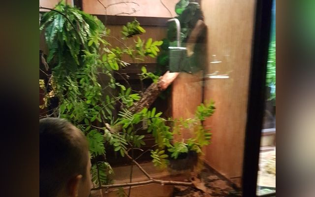 Apsilankymas Zoologijos sode