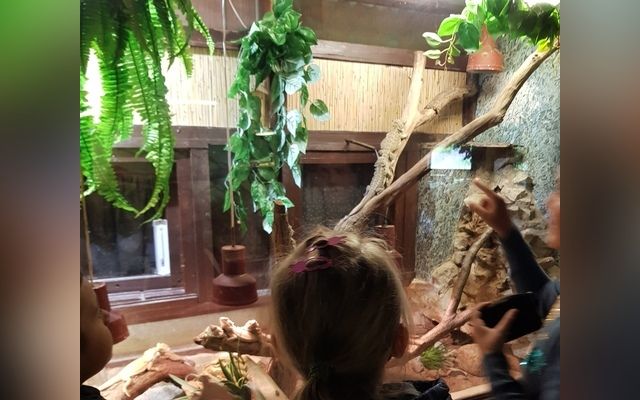 Apsilankymas Zoologijos sode