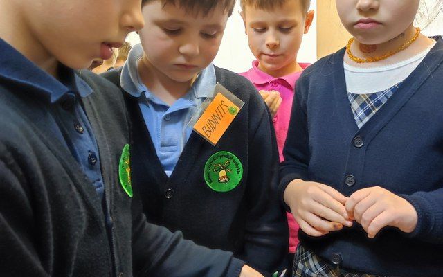 Tėvų karjeros diena 1 D klasėje - telekomunikacijų inžinieriaus specialybė