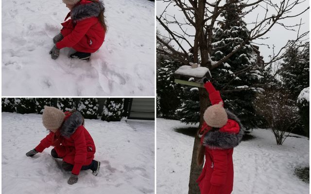 Nuotolinis  mokymas