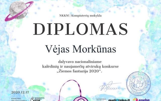 Žiemos fantazija 2020