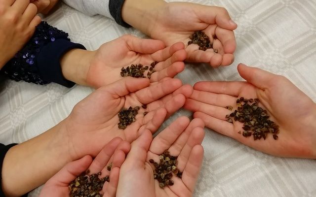 Edukacinis užsiėmimas ,,Grikio kelias‘‘