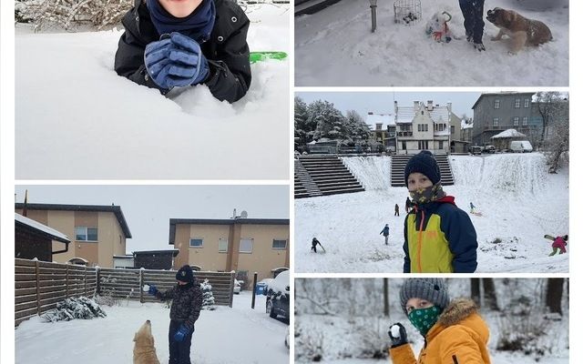 Nuotolinis  mokymas