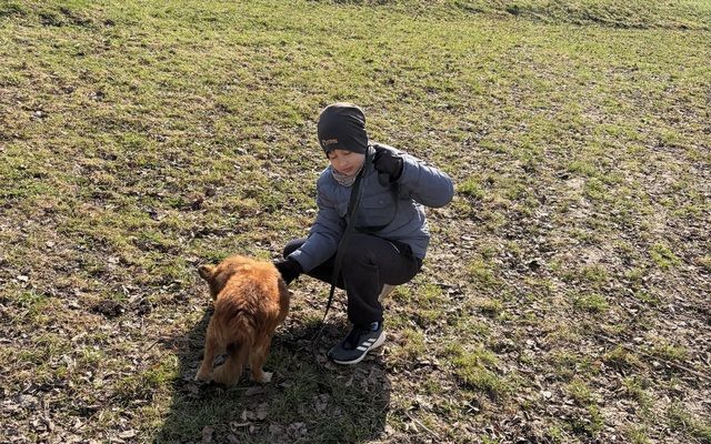 Gerumo akcija - pamaitink beglobius gyvūnus