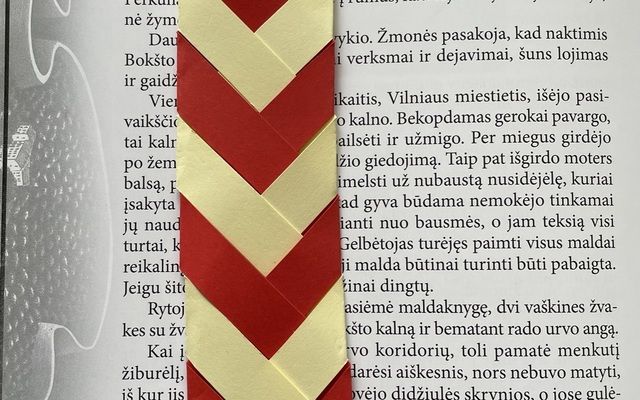 Knygos taip pat mėgsta puoštis!