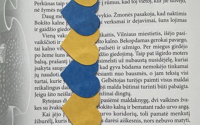 Knygos taip pat mėgsta puoštis!