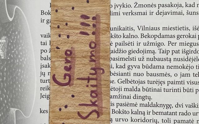 Knygos taip pat mėgsta puoštis!