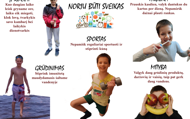 Sveika gyvensena