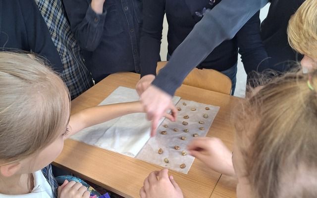 Projektas - Pamatyk, pasėk ir paragauk